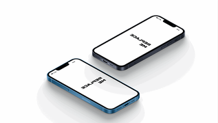 功能型网站定制/系统开发