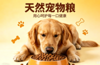 宠物粮官网定制案例｜久鑫网络打造信任型品牌门户