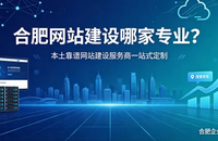 合肥网站建设哪家专业？本土靠谱合肥网站建设服务商一站式定制
