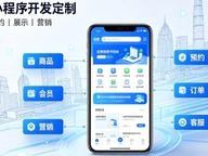2026合肥小程序开发定制指南：实体商家与企业数字化落地方案