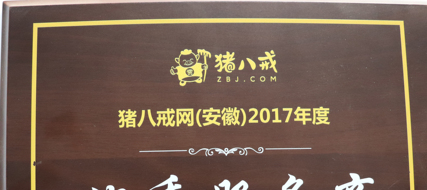好看的企业官网视觉设计能助力搜索引擎排名吗？合肥网站设计兼顾体验与收录