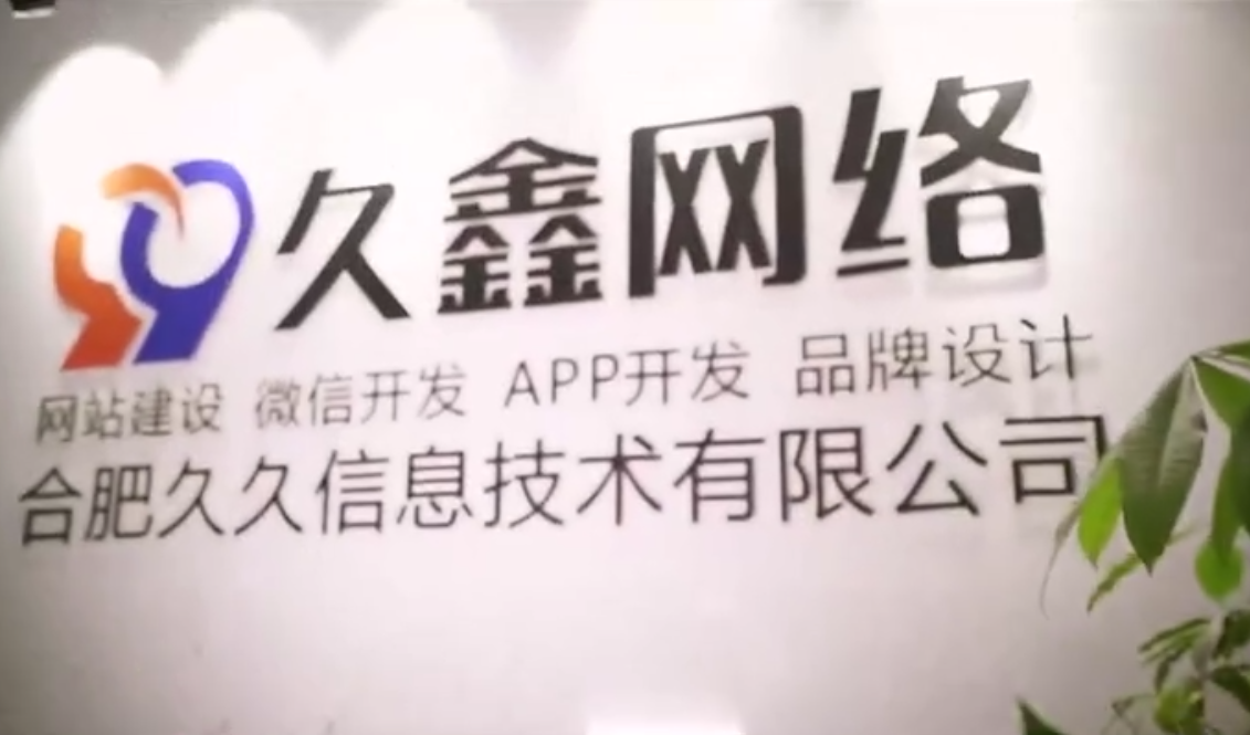 合肥商家搭建私域小程序,为何优先选择合肥本地小程序开发公司更稳妥?